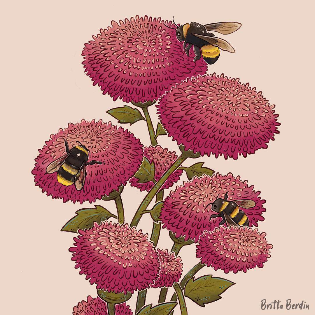 Illustration of a flower with three beea
